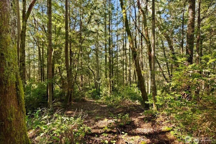 Property photo for 0 Canterwood Boulevard, Gig Harbor photo 11