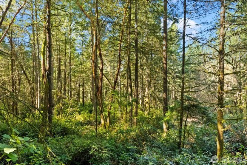 Property photo for 0 Canterwood Boulevard, Gig Harbor photo 12