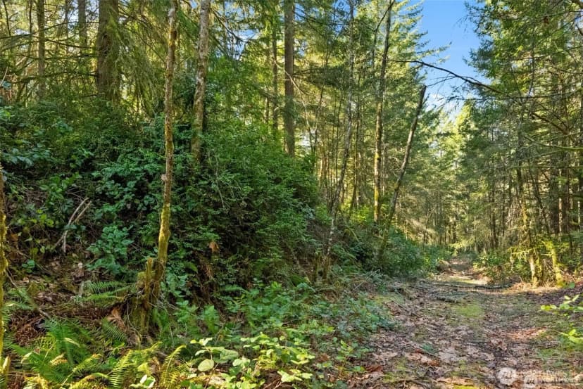 Property photo for 0 Canterwood Boulevard, Gig Harbor photo 14
