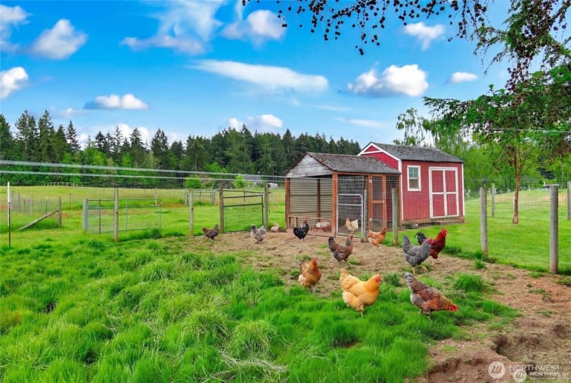 Property photo for 14419 Martinson Road Se, Yelm photo 39