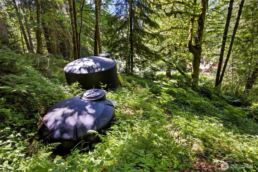 Property photo for 33217 Mount Tahoma Canyon Road E, Ashford photo 33