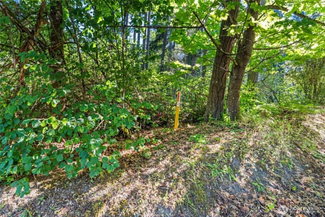 Property photo for 4618 Timber Lane Nw, Gig Harbor photo 3