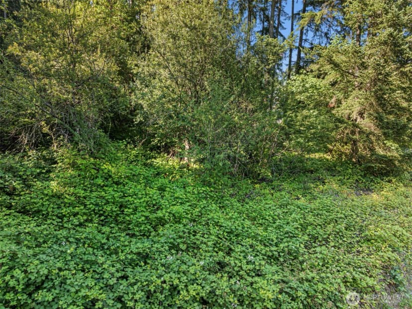 Property photo for 4618 Timber Lane Nw, Gig Harbor photo 15