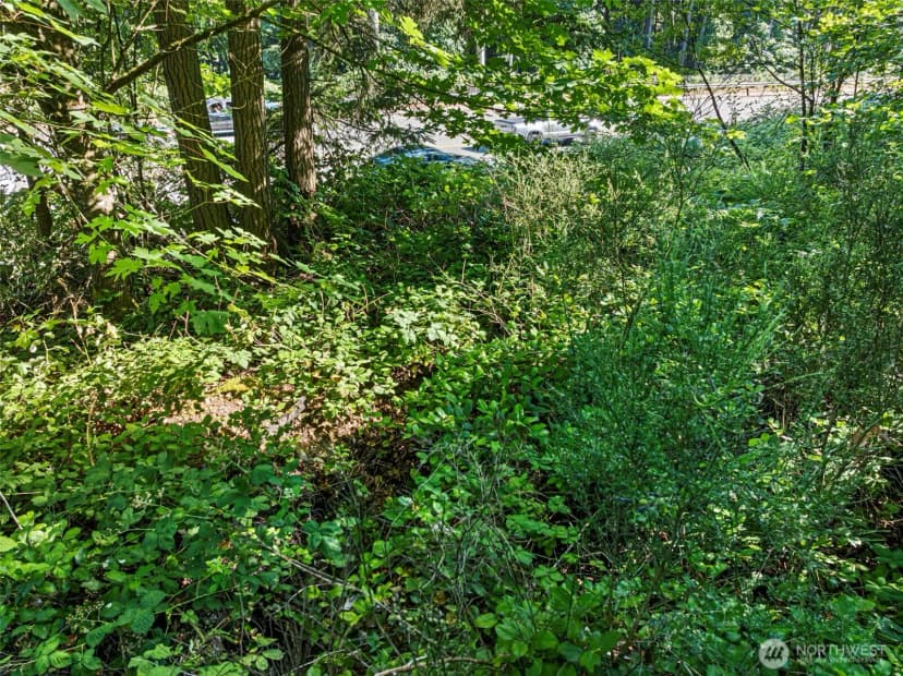 Property photo for 4618 Timber Lane Nw, Gig Harbor photo 16