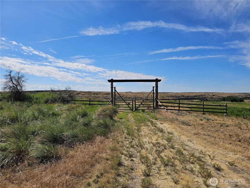 Property photo for 24414 Seven Springs Dairy Road E, Harrington photo 2