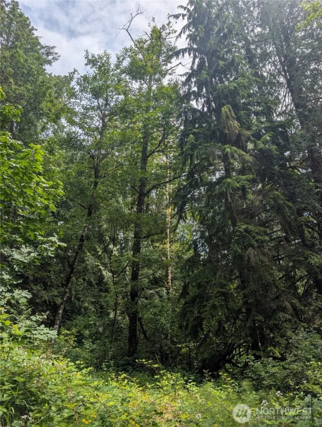 Property photo for 25314 Ebey Mountain Road, Arlington photo 4
