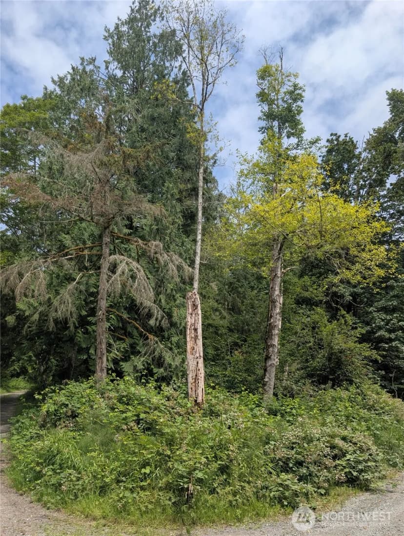 Property photo for 25314 Ebey Mountain Road, Arlington