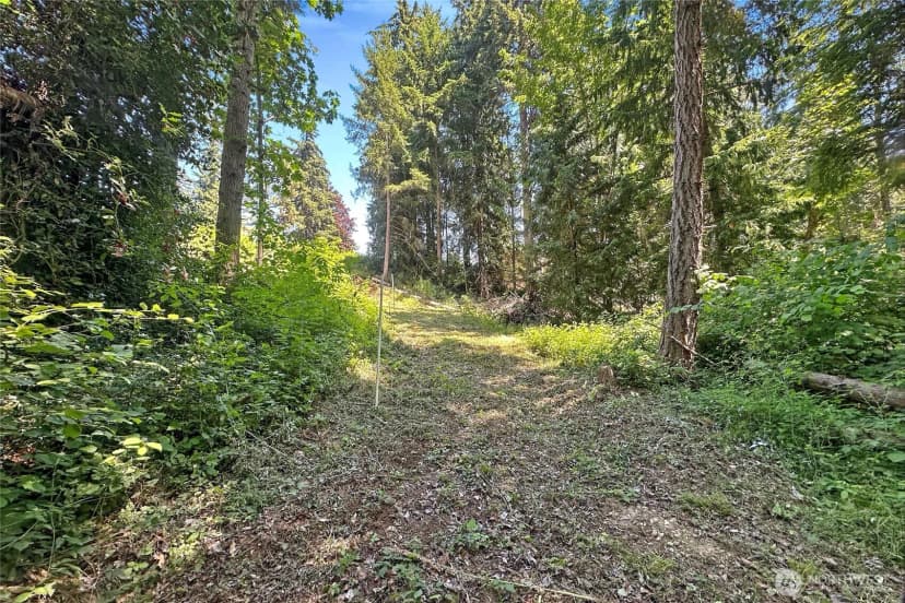 Property photo for 4302 W Tapps Drive E, Lake Tapps photo 10