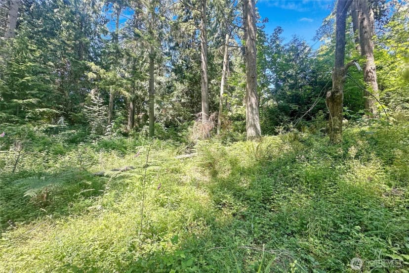 Property photo for 4302 W Tapps Drive E, Lake Tapps photo 17