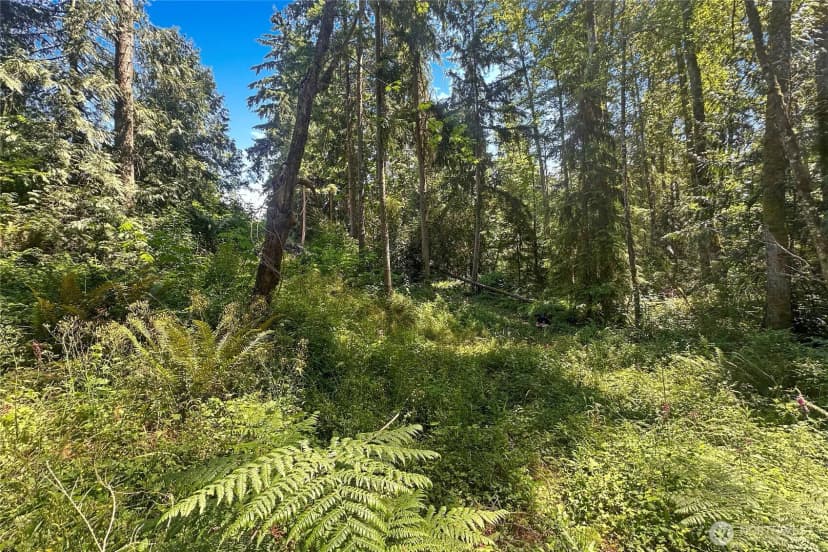 Property photo for 4302 W Tapps Drive E, Lake Tapps photo 15