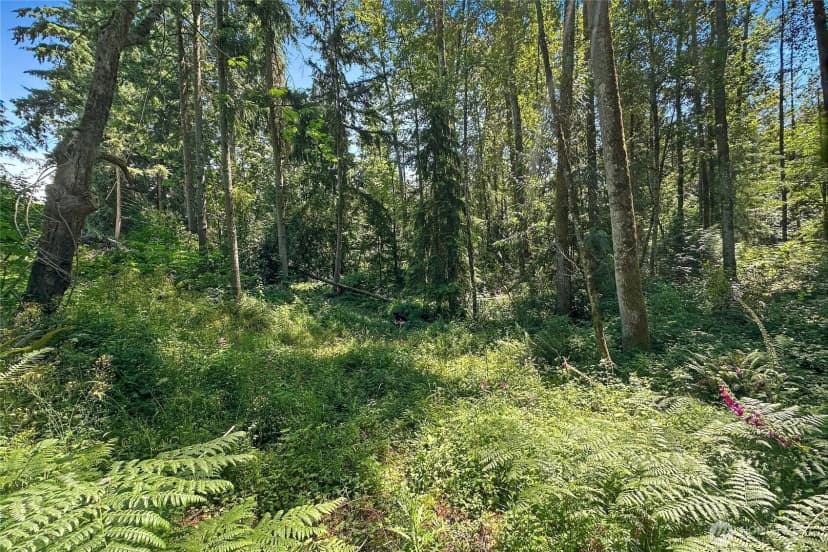 Property photo for 4302 W Tapps Drive E, Lake Tapps photo 14