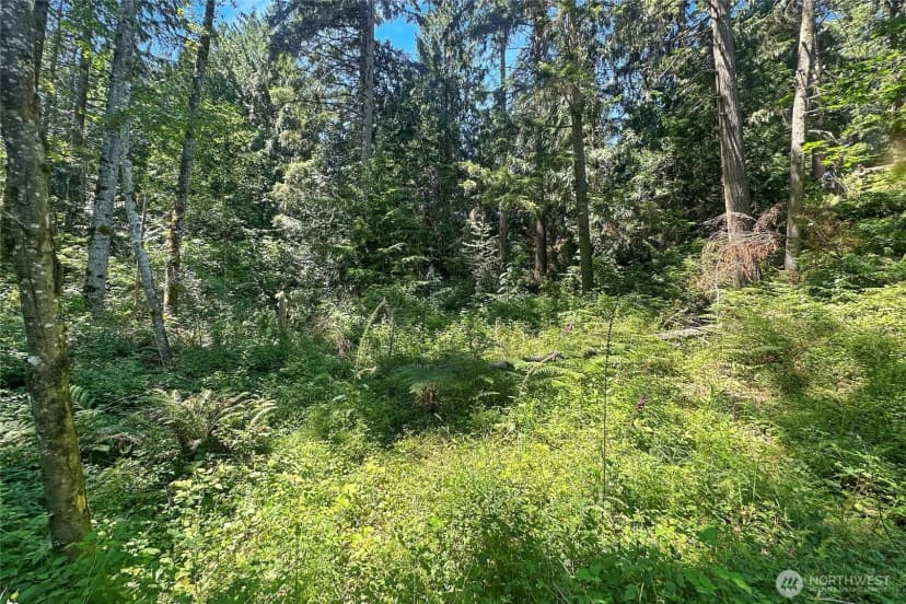Property photo for 4302 W Tapps Drive E, Lake Tapps photo 16