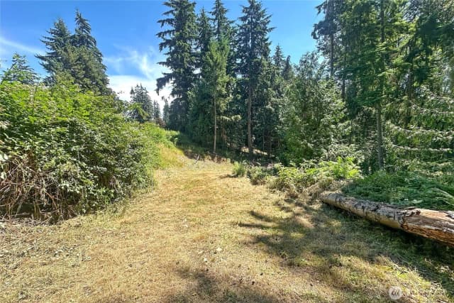 Property photo for 4302 W Tapps Drive E, Lake Tapps photo 5