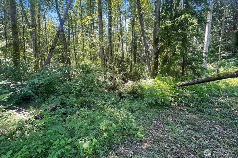 Property photo for 4302 W Tapps Drive E, Lake Tapps photo 8