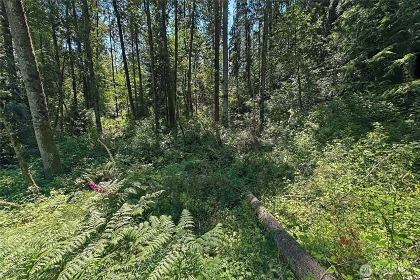 Property photo for 4302 W Tapps Drive E, Lake Tapps photo 13