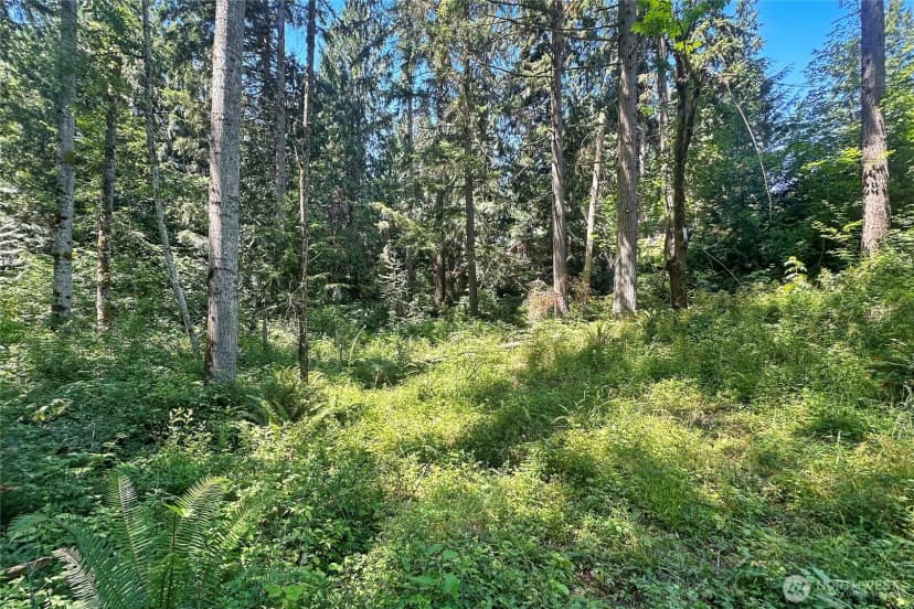 Property photo for 4302 W Tapps Drive E, Lake Tapps photo 12