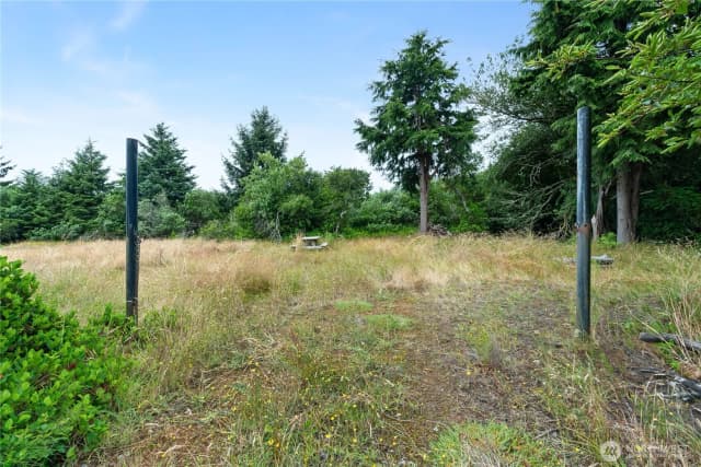 Property photo for 521 Point Brown Avenue Sw, Ocean Shores photo 3