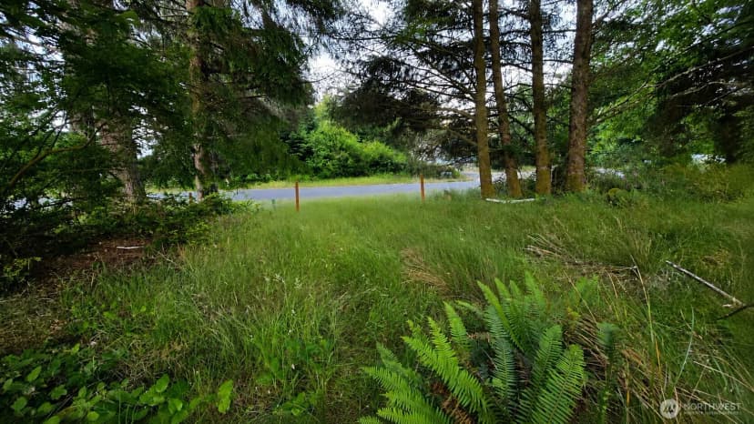 Property photo for 119 Olympic View Avenue Ne, Ocean Shores photo 2