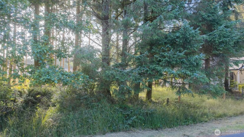 Property photo for 119 Olympic View Avenue Ne, Ocean Shores photo 24
