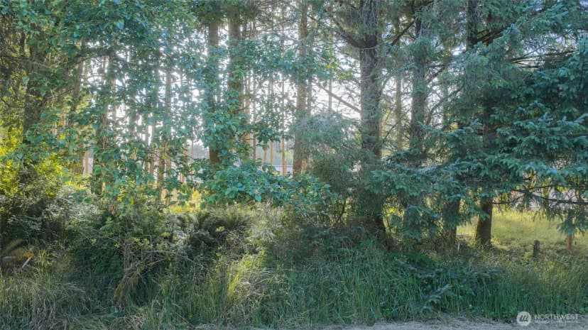 Property photo for 119 Olympic View Avenue Ne, Ocean Shores photo 25