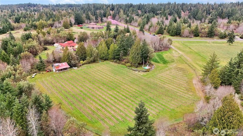 Property photo for 1673 Woodland Drive, Port Townsend photo 6