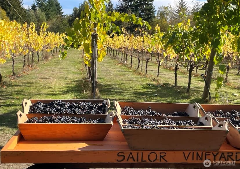 Property photo for 1673 Woodland Drive, Port Townsend photo 38