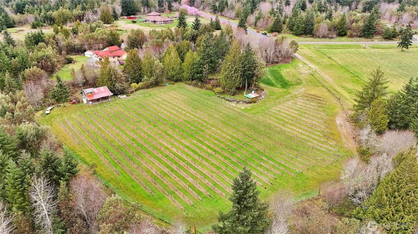 Property photo for 1673 Woodland Drive, Port Townsend photo 6