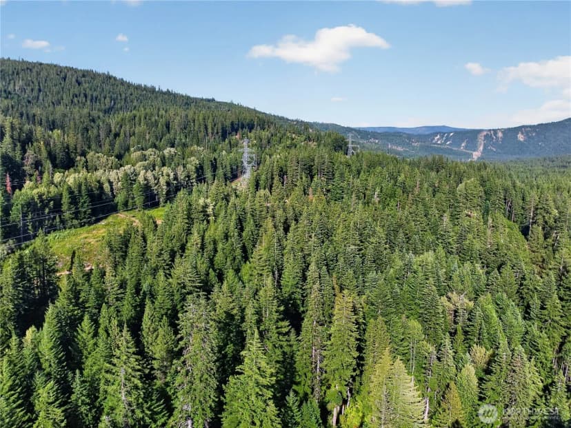 Property photo for 0 W Nason Creek, Leavenworth photo 25