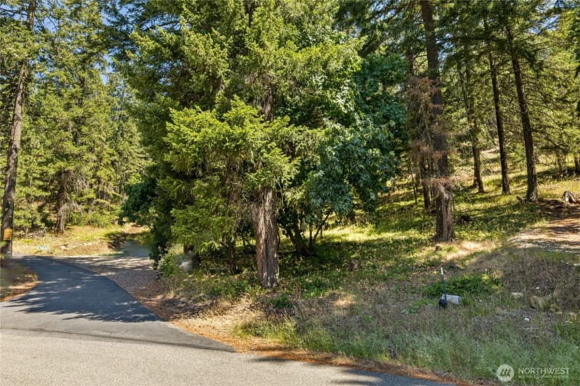 Property photo for 0 Xxx Lava Lane, Ronald photo 12