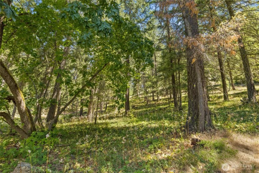 Property photo for 0 Xxx Lava Lane, Ronald photo 2