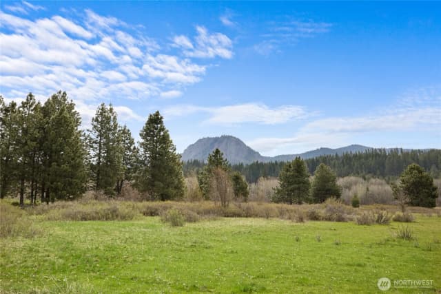 Property photo for 0 Westside Road, Cle Elum photo 3