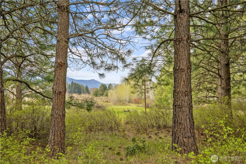 Property photo for 0 Westside Road, Cle Elum photo 27