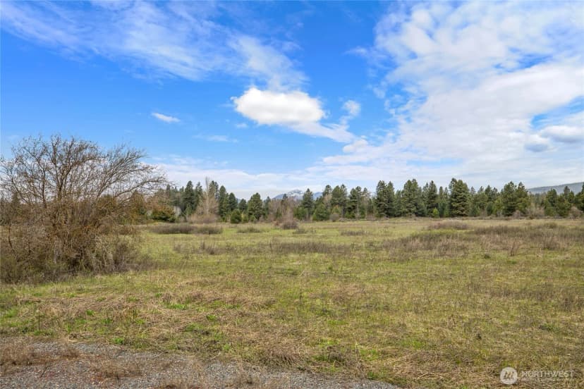 Property photo for 0 Westside Road, Cle Elum photo 19