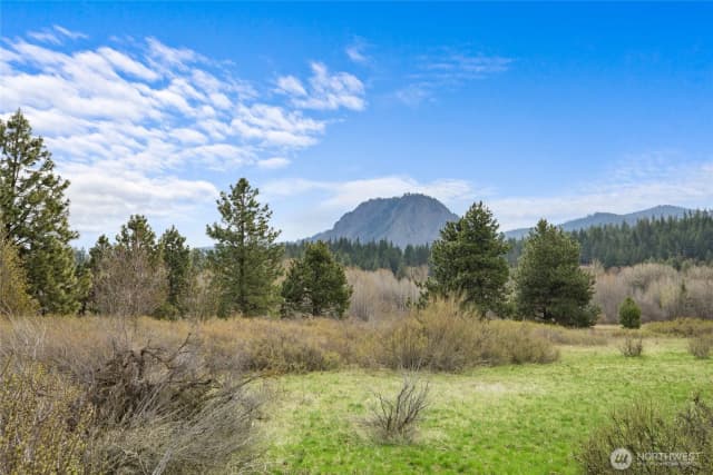 Property photo for 0 Westside Road, Cle Elum photo 2