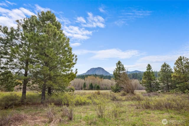 Property photo for 0 Westside Road, Cle Elum photo 5