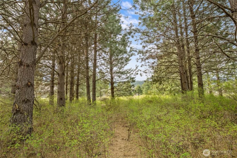 Property photo for 0 Westside Road, Cle Elum photo 28