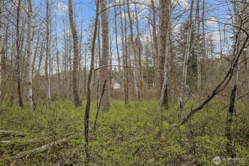 Property photo for 0 Westside Road, Cle Elum photo 20