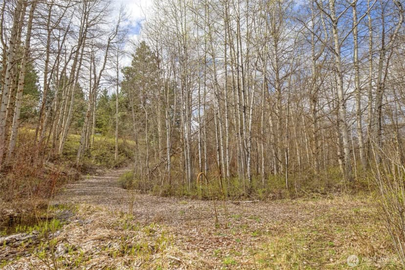 Property photo for 0 Westside Road, Cle Elum photo 24