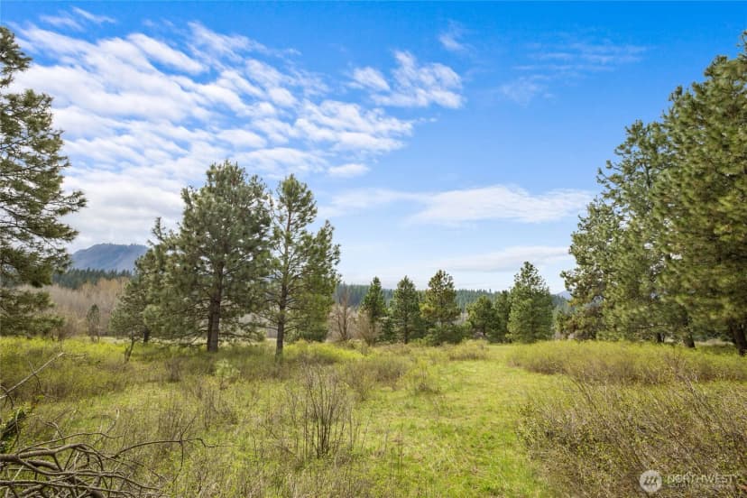 Property photo for 0 Westside Road, Cle Elum photo 14