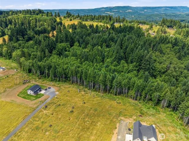 Property photo for 252 Ash Mountain Drive, Castle Rock