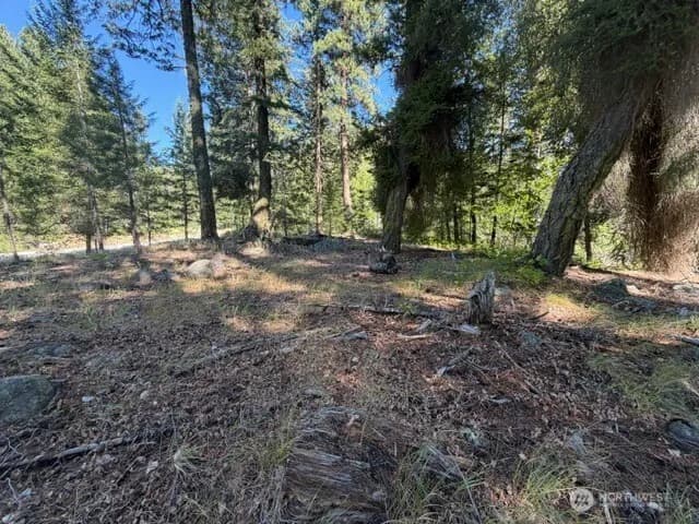Property photo for 0 E Buttermilk Creek Road, Twisp photo 15
