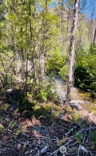 Property photo for 0 E Buttermilk Creek Road, Twisp photo 3