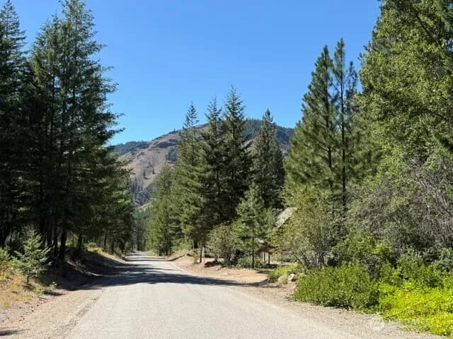 Property photo for 0 E Buttermilk Creek Road, Twisp photo 4