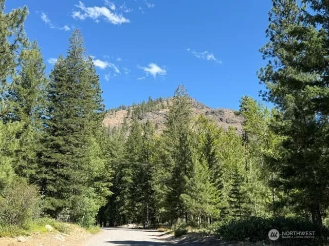 Property photo for 0 E Buttermilk Creek Road, Twisp photo 5