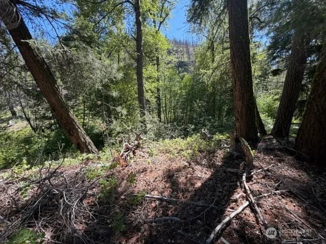 Property photo for 0 E Buttermilk Creek Road, Twisp photo 14