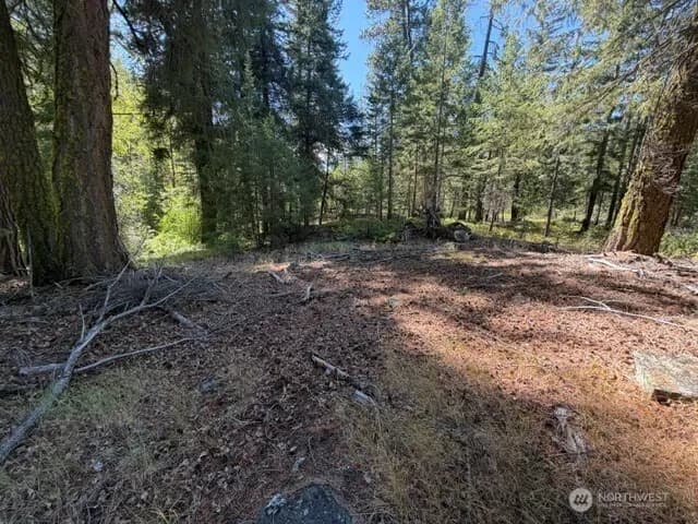 Property photo for 0 E Buttermilk Creek Road, Twisp photo 2