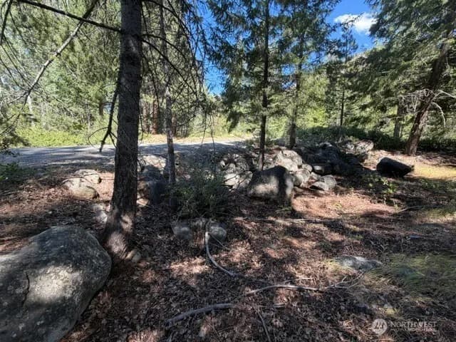 Property photo for 0 E Buttermilk Creek Road, Twisp photo 9