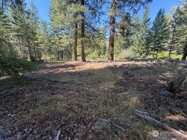 Property photo for 0 E Buttermilk Creek Road, Twisp photo 13