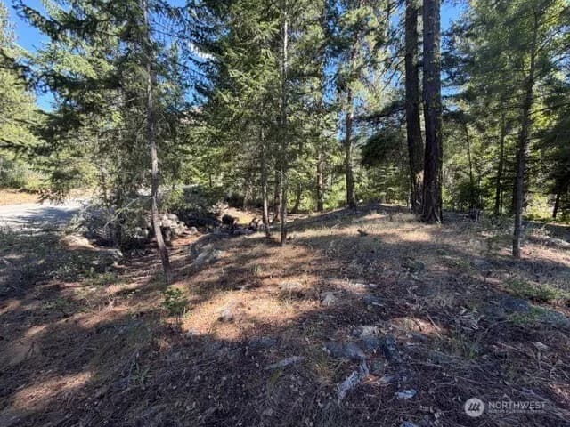 Property photo for 0 E Buttermilk Creek Road, Twisp photo 16