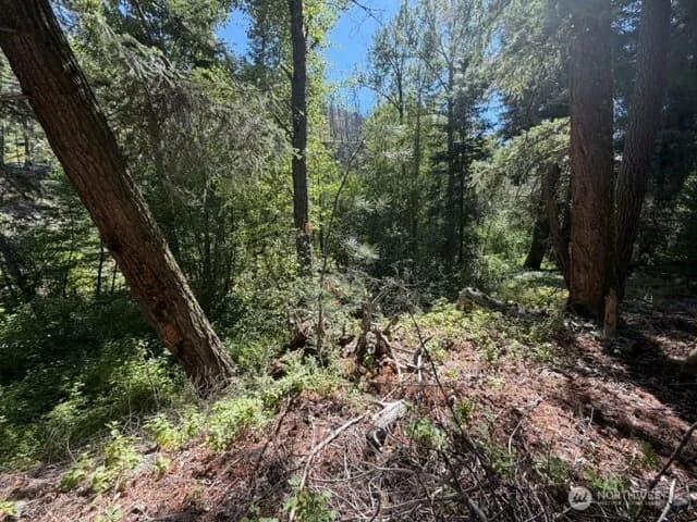 Property photo for 0 E Buttermilk Creek Road, Twisp photo 11